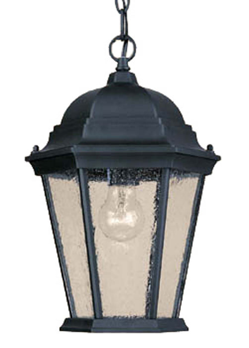 Acclaim Lighting - 5206BK/SD - One Light Outdoor Hanging Lantern - Richmond - Matte Black