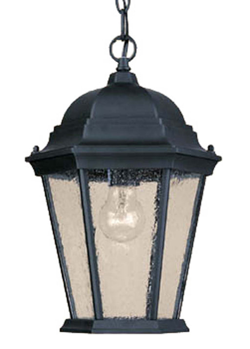 Acclaim Lighting - 5206BK/SD - One Light Outdoor Hanging Lantern - Richmond - Matte Black