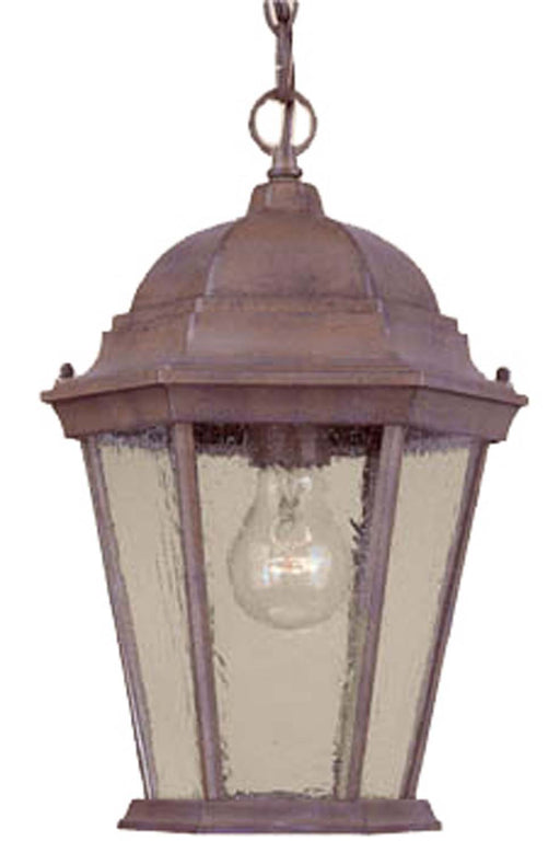 Acclaim Lighting - 5206BW/SD - One Light Outdoor Hanging Lantern - Richmond - Burled Walnut