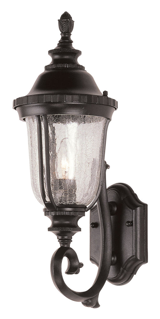 Trans Globe Imports - 4021 BK - One Light Wall Lantern - Chessie - Black