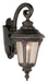 Trans Globe Imports - 5043 RT - One Light Wall Lantern - Commons - Rust