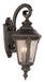 Trans Globe Imports - 5044 RT - Three Light Wall Lantern - Commons - Rust