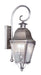 Livex Lighting - 2551-29 - Two Light Outdoor Wall Lantern - Amwell - Vintage Pewter
