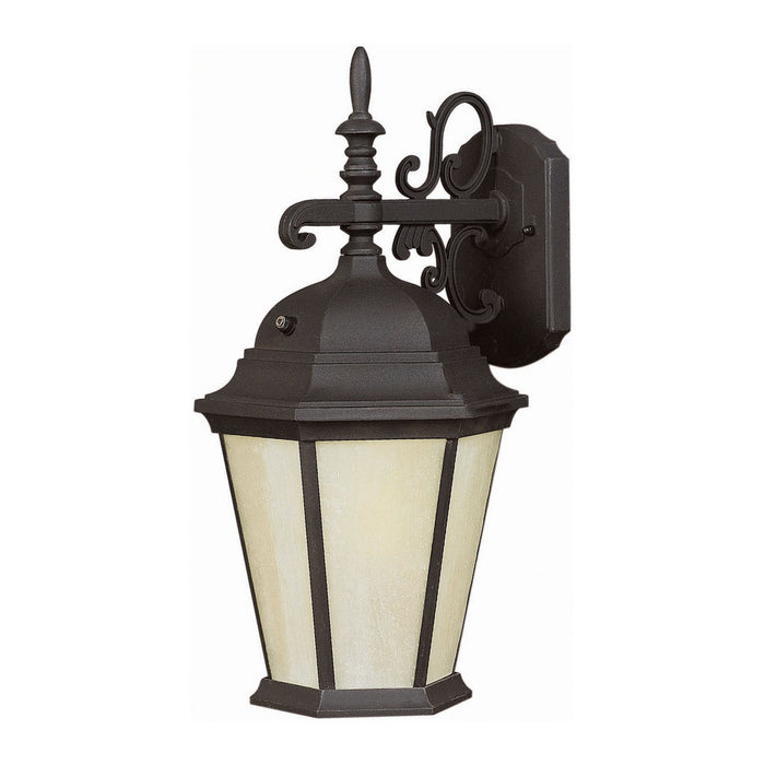 Forte - 17015-01-04 - One Light Outdoor Lantern - Black