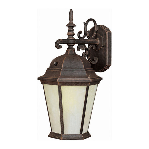 Forte - 17015-01-28 - One Light Outdoor Lantern - Painted Rust