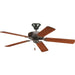 Progress Lighting - P2501-20 - 52``Ceiling Fan - AirPro Builder - Antique Bronze