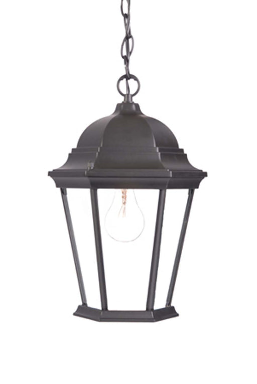 Acclaim Lighting - 5206BK - One Light Outdoor Hanging Lantern - Richmond - Matte Black