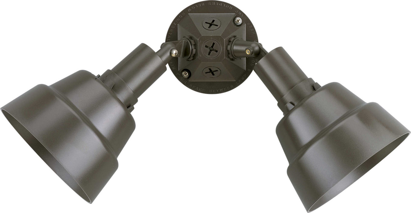 Two Light Flood Light from the Par Lampholder collection in Antique Bronze finish