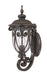 Acclaim Lighting - 2101MM - One Light Outdoor Wall Mount - Naples - Marbleized Mahogany