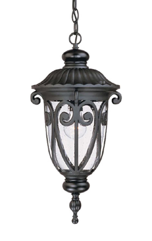 Acclaim Lighting - 2116BK - One Light Outdoor Hanging Lantern - Naples - Matte Black