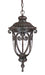 Acclaim Lighting - 2116MM - One Light Outdoor Hanging Lantern - Naples - Marbleized Mahogany