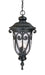 Acclaim Lighting - 2126BK - Three Light Outdoor Hanging Lantern - Naples - Matte Black