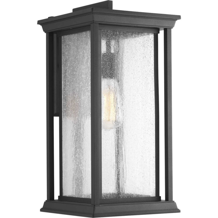 One Light Wall Lantern from the Endicott collection in Black finish