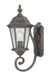 Acclaim Lighting - 5501BC - One Light Outdoor Wall Mount - Telfair - Black Coral