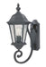 Acclaim Lighting - 5501BK - One Light Outdoor Wall Mount - Telfair - Matte Black