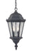 Acclaim Lighting - 5516BK - Two Light Outdoor Hanging Lantern - Telfair - Matte Black