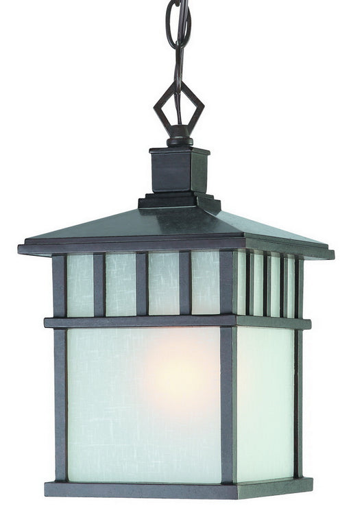 Dolan Designs - 9113-34 - One Light Hanging Lantern - Barton - Olde World Iron