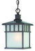 Dolan Designs - 9113-34 - One Light Hanging Lantern - Barton - Olde World Iron