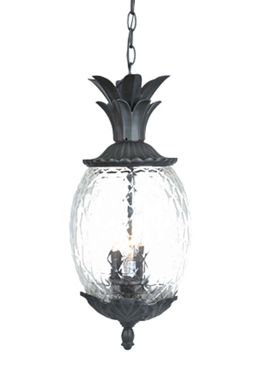 Acclaim Lighting - 7516BK - Three Light Outdoor Hanging Lantern - Lanai - Matte Black