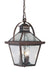 Acclaim Lighting - 7676ABZ - Three Light Outdoor Hanging Lantern - Bay Street - Architectural Bronze