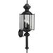 Progress Lighting - P5731-31 - Three Light Large Wall Lantern - BrassGUARD - Black