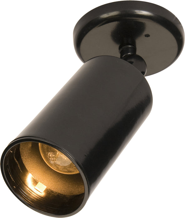 One Light Flush Mount from the Spots collection in Black finish