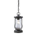 ELK Home - 43017/1 - One Light Outdoor Hanging Lantern - Farmstead - Matte Black