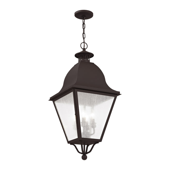 Four Light Outdoor Pendant from the Amwell collection in Bronze finish