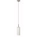 Dainolite Ltd - 83202-SC-WH - One Light Pendant - Pendant - Frosted White