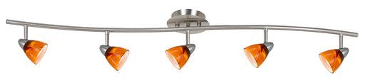 Cal Lighting - SL-954-5-BS/AMS - Five Light Pendant - Serpentine - Brushed Steel