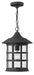 Hinkley - 1802BK - One Light Hanging Lantern - Freeport - Black
