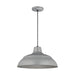 Millennium - RWHC17-GA - One Light Pendant - R Series - Galvanized