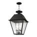 Livex Lighting - 2174-04 - Four Light Outdoor Pendant - Mansfield - Black