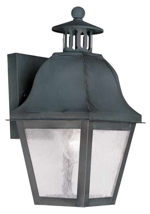 Livex Lighting - 2550-61 - One Light Outdoor Wall Lantern - Amwell - Charcoal
