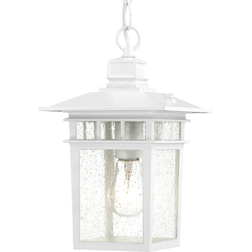 Nuvo Lighting - 60-4954 - One Light Hanging Lantern - Cove Neck - White