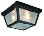 Trans Globe Imports - 4901 BK - One Light Flushmount Lantern - Samantha - Black