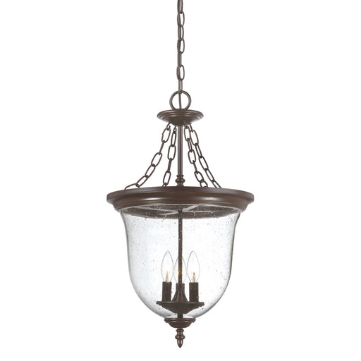 Acclaim Lighting - 9316ABZ - Three Light Outdoor Hanging Lantern - Belle - Architectural Bronze