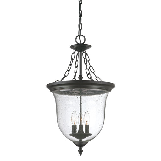 Acclaim Lighting - 9316BK - Three Light Outdoor Hanging Lantern - Belle - Matte Black
