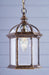 Trans Globe Imports - 4183 BG - One Light Hanging Lantern - Wentworth - Black Gold