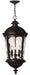 Hinkley - 1892BK - Four Light Hanging Lantern - Windsor - Black