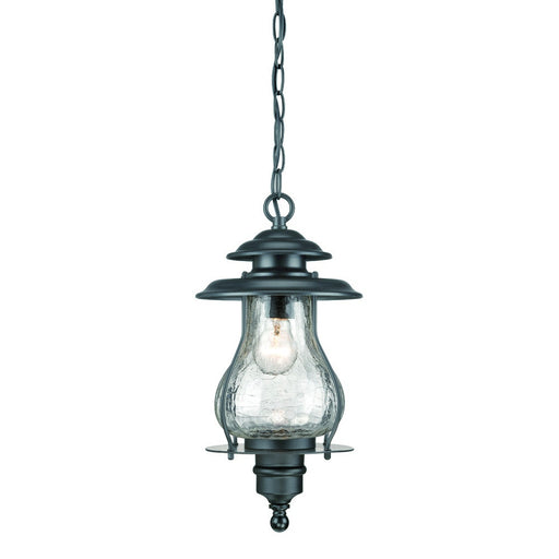 Acclaim Lighting - 8206BK - One Light Outdoor Hanging Lantern - Blue Ridge - Matte Black