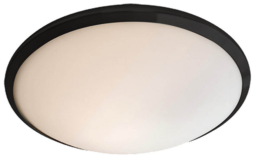 DVI Lighting - DVP9030GR-OP - One Light Flush Mount - Essex - Graphite w/ Half Opal Glass