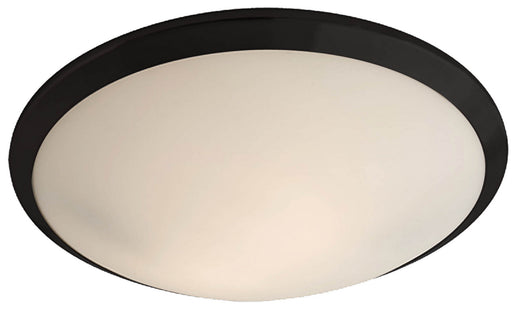 DVI Lighting - DVP9040GR-OP - Two Light Flush Mount - Essex - Graphite w/ Half Opal Glass