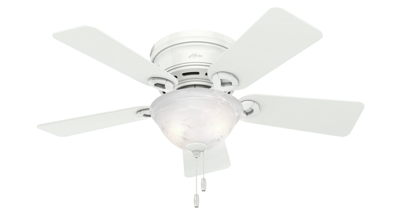 Hunter 42" Conroy Ceiling Fan with LED Light Kit and Pull Chains