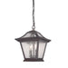Acclaim Lighting - 39016BC - Two Light Outdoor Hanging Lantern - Aiken - Black Coral
