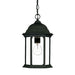 Acclaim Lighting - 5186BK - One Light Outdoor Hanging Lantern - Madison - Matte Black