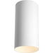 Progress Lighting - P5741-30/30K - LED Outdoor Flush Mount - LED Cylinders - White