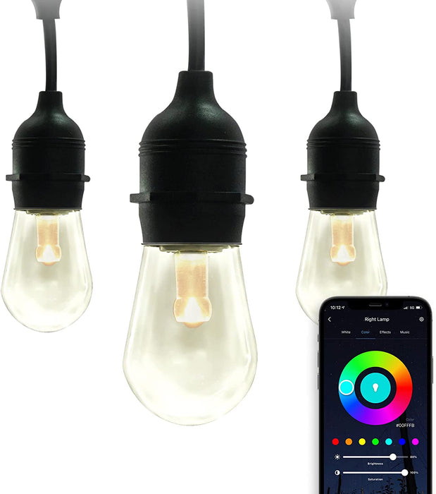 LED String Light in Black finish, WiFi Smart LED Color-Changing Indoor/Outdoor String Lights, Works with Siri, Alexa, Google Assistant, SmartThings