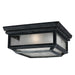 Generation Lighting - OL10613DWZ - Two Light Flush Mount - Shepherd - Dark Weathered Zinc