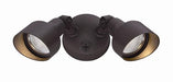 Acclaim Lighting - LFL2ABZ - Two Light Outdoor Light Fixture - Led Floodlights - Architectural Bronze